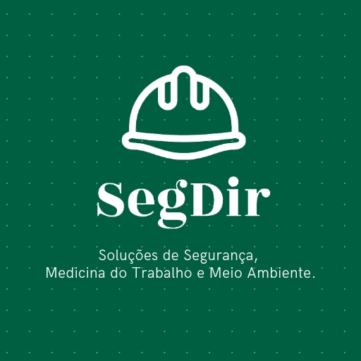 Logo de Segdir - Seguranca e Medicina do Trabalho